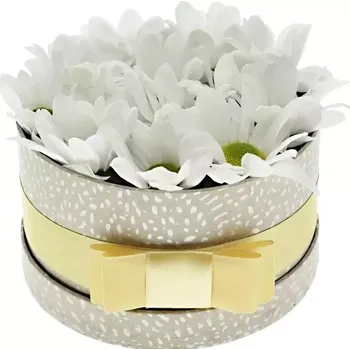 Dárková krabička Krabička květin VESNA šampaň 13,5x8cm