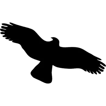 samolepka Samolepka - Silueta dravce - Ochrana proti narážení ptáků do skla