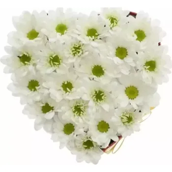 Dárková krabička Krabička květin ANAMARI červená 15x8cm