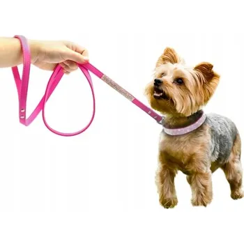 Obojek pro psa Kožený obojek pro psa, sada obojek s vodítkem Pet Artist, velikost S