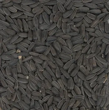 Krmivo pro ptáka Vitakraft CHOVEX Vitakraft VITA GARDEN®Slunečnice černá pytel 20kg
