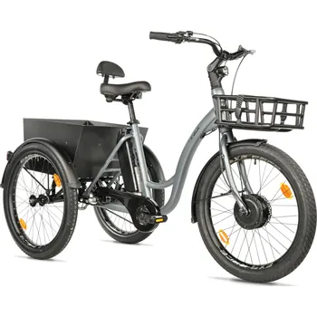 Elektrokolo Leader Fox TŘÍKOLKA LOVELO 2025 šedá