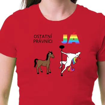 Tričko Vtipná | Tričko Ostatní právníci