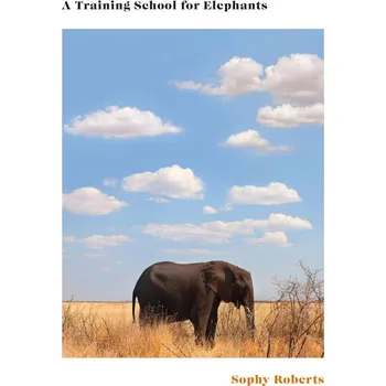 Umění A Training School for Elephants