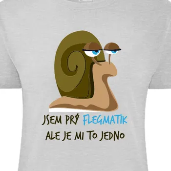 Dámské tričko Tričko Vtipná | Triko pro flegmatiky