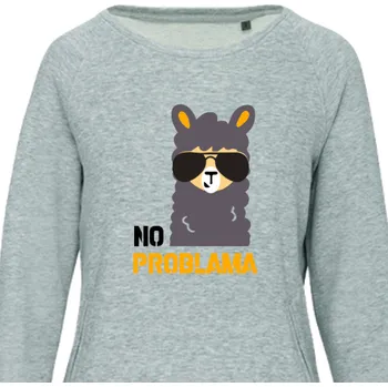 Dámské šaty Šaty Vtipná | Šaty No problama