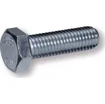 WT WINTECH ŠROUB 10 x 60 ŠESTIHRANNÁ HLAVA DIN 933