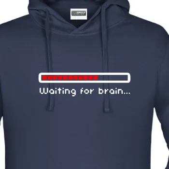 Pánská mikina Mikina IT | Mikina Waiting for brain...