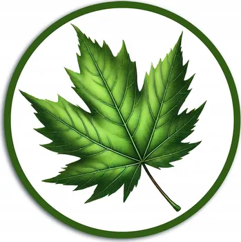 Samolepicí dekorace na vozidlo NÁLEPKA Mladý Řidič ZELENÝ LIST 11cm Kulatá na auto sklo