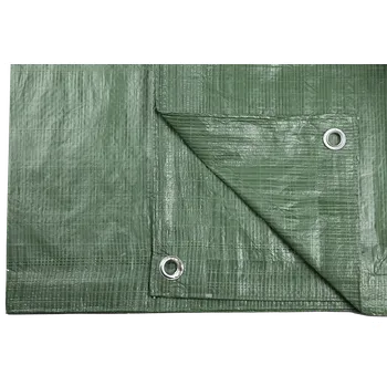 Krycí plachta Plachta zelená 80g 10x15m
