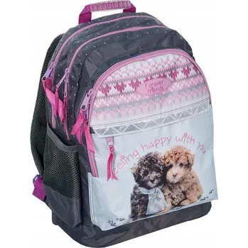 Školní batoh Školní batoh vícekomorový Paso odstíny šedé a stříbrné, růžová, vícebarevný 22 l