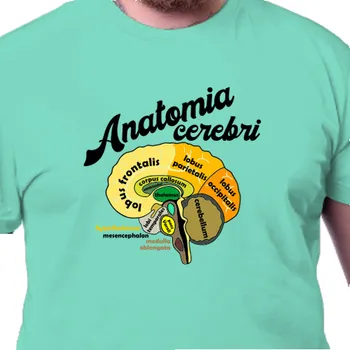 Pánské tričko Tričko Zdravotní sestry | Tričko Anatomie mozku