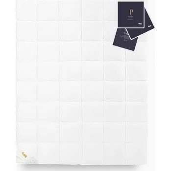 přikrývka Celoroční přikrývka 200x200cm Peří 100% PREMIUM Gold