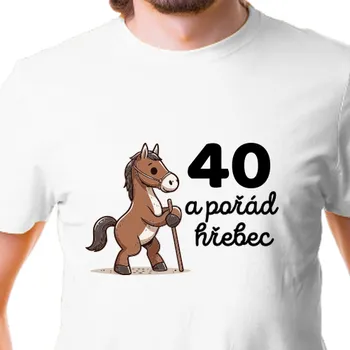 Pánské tričko Tričko 40 let | Narozeninové triko pořád hřebec