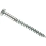 WT WINTECH VRUT 10 x 80 ŠESTIHRANNÁ HLAVA ZN