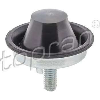 Motor automobilu Zavěšení motoru TOPRAN 720 471