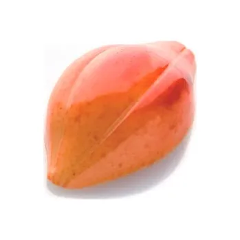 Forma na pečení CHOCOLATE WORLD FORMA NA PRALINKY - KAKAOVÝ BOB 24ks