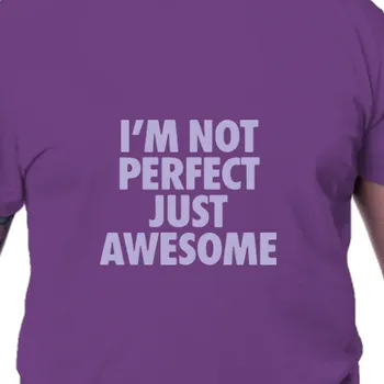 Pánské tričko Tričko Humor | Tričko I´m not perfect