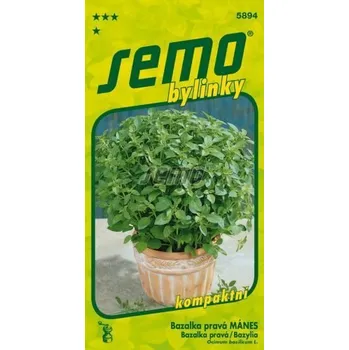 Semeno Bazalka pravá 0,8g ***