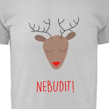 Pánské tričko Tričko Vtipná | Tričko Zimní spánek