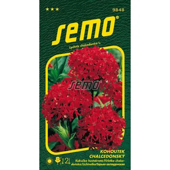 Semeno Kohoutek chalcedonský (červený) 12/2024