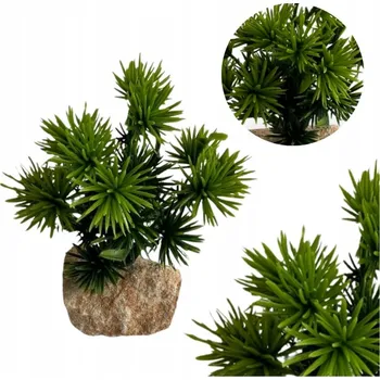 umělá květina Umělá rostlina TD Stones 10 x 8 x 8 cm