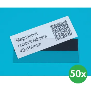 Dílenský regál B2B Partner Magnetická V lišta, 40 x 100 mm, 50 ks