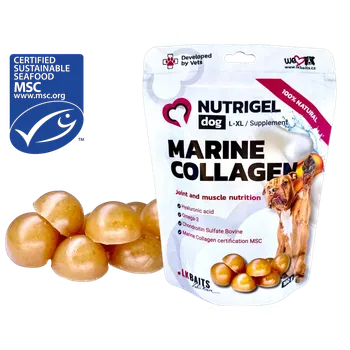Kloubní výživa pro psa a kočku LK Baits Pet Nutrigel Dog Marine Collagen,L-XL,180g