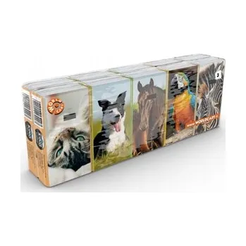 Papírový kapesník Hygienické kapesníčky bez vůně King 3 vrstvé 10 ks