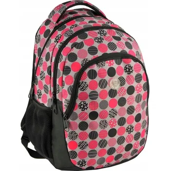 Školní batoh Školní batoh vícekomorový Paso černý, odstíny šedé a stříbrné, růžový, vícebarevný, 25 l
