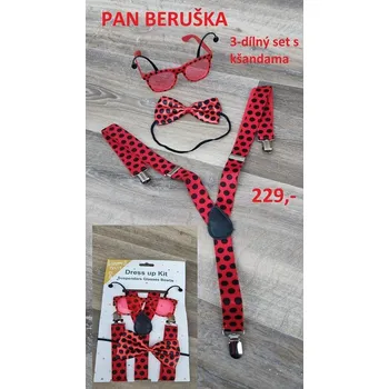 Karnevalový kostým PAN BERUŠKA