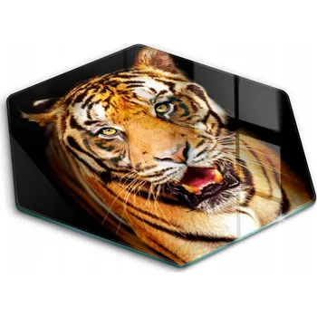 Obraz Krájecí deska Wallfluent sklo 1 ks