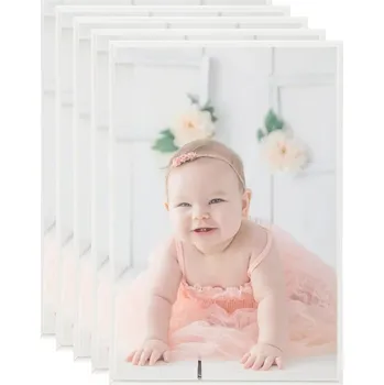 Rám na obraz vidaXL Fotorámečky koláž 5 ks na stůl stříbrné 21x29,7 cm MDF