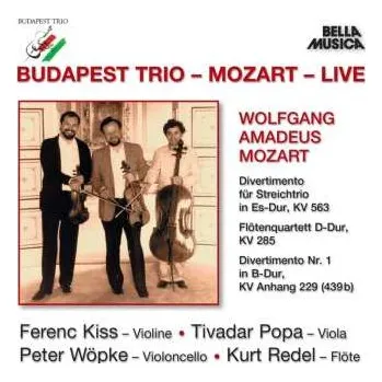 Zahraniční hudba CD Budapest Symphony Orchestra: Live 2019