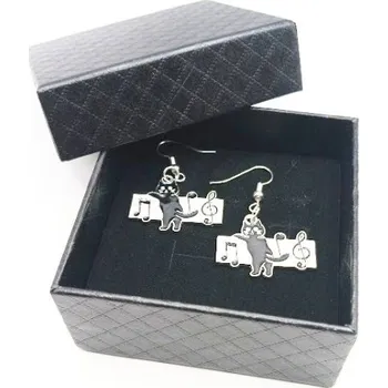 Náušnice hudební kočičky v černé dárkové krabičce