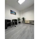 Vinylová SPC podlaha EGIBI Green Line - Dub šedý Vancouver