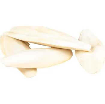 Krmivo pro ptáka Duvo+ Originální sépiová kost sypaná +/- 15-28cm 5kg