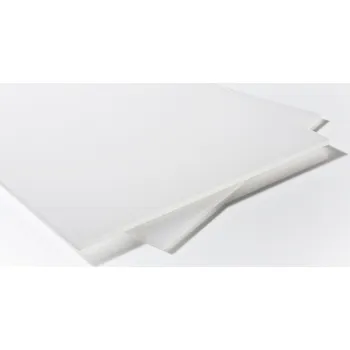 Plexisklo Polyvantis Plexisklo bílé 8 mm PLEXIGLAS® GS 0.5 x 0.5 m