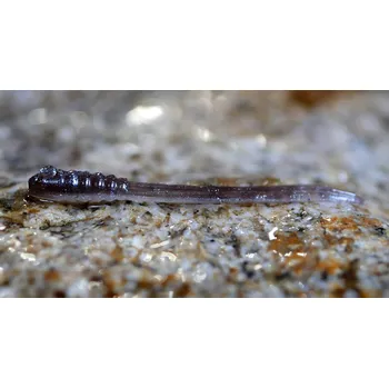 Umělá nástraha MICRO TAIL S - 48 mm REDBASS - BROWN/SILVER