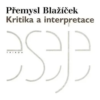 Kritika a interpretace
