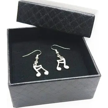 Náušnice dvě noty v černé dárkové krabičce