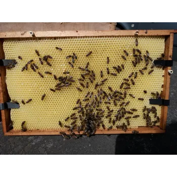 Klip na rámek s mezerníkem 8 mm - 100 ks