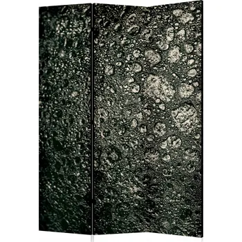 Paraván Dekorativní Paraván do salonu krásy závěs stěna 135x172 cm