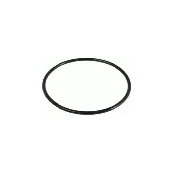 Náhradní těsnění pod víko předfiltru Bestway