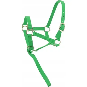 IP kamera Uzda s poutem na hříbě EKKIA světle zelený FOAL