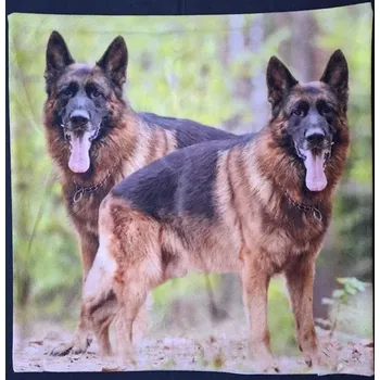 Povlak na dekorativní polštářek Povlak na polštářek dva Vlčáci