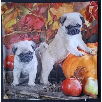 Povlak na dekorativní polštářek Povlak na polštářek Pejsci a dýně