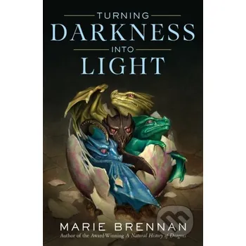 Turning Darkness Into Light - Marie Brennan Tor Books