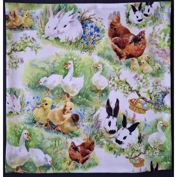 Povlak na dekorativní polštářek Povlak na polštářek Statek