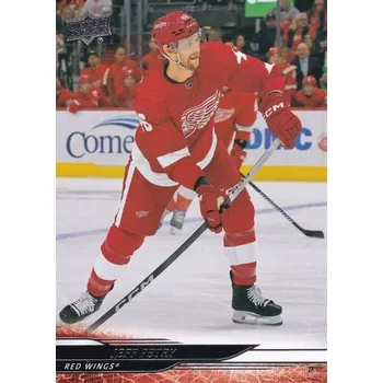 Sběratelská karetní hra řadová karta JEFF PETRY 24-25 UD Ser. 2 číslo 310